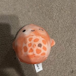 Livvy starfish squishmallow